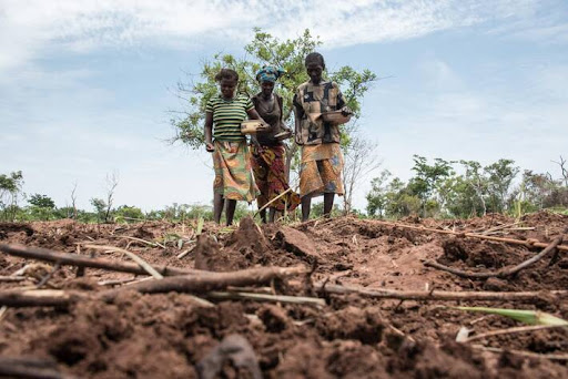 Central African Republic