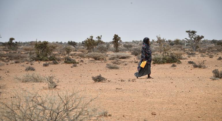 Catastrophic hunger levels leave 500,000 children at risk of dying in Somalia