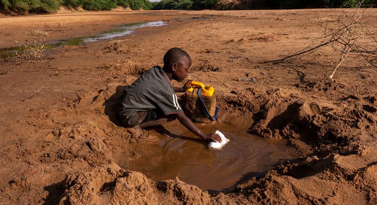 WFP scales up support for millions who ‘cannot wait’ for food aid amid Horn of Africa drought