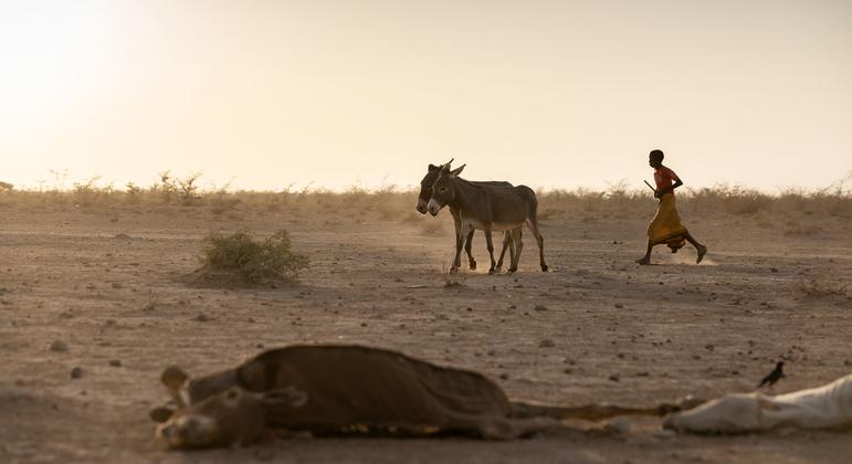 Hunger still rising across East Africa, says new UN-backed report