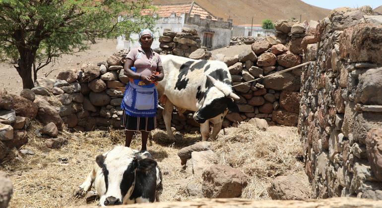 Cabo Verde: ‘Unprecedented’ food insecurity triggers social and economic emergency